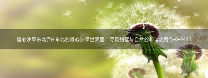 糖心破解版vlog