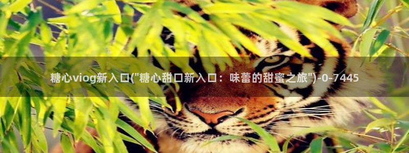 糖心.vlog：糖心viog新入口(\