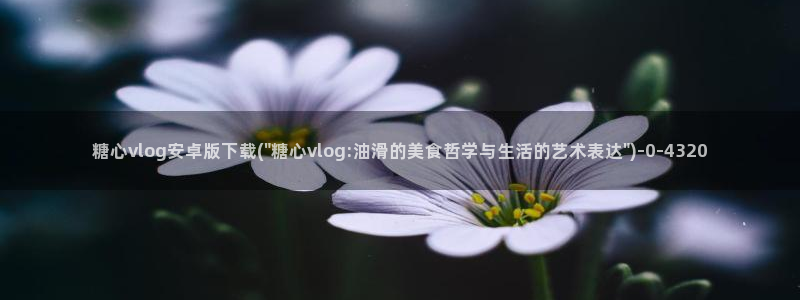 糖心vlog免下载：糖心vlog安卓版下载(\