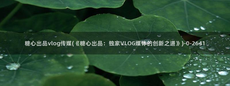 糖心vlog官网：糖心出品vlog传媒(《糖心出品：独家VLOG媒体的创新之道》)