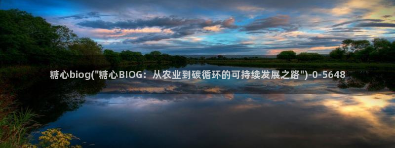 糖心vlog传媒女演员：糖心biog(\